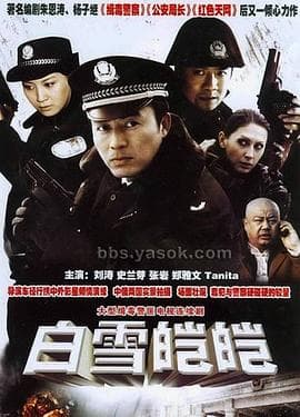 白雪皑皑 - 国产剧 (2006) 海报
