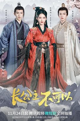 长公主不可以 - 国产剧 (2022) 海报