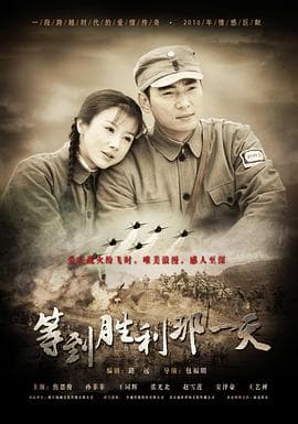 等到胜利那一天 - 国产剧 (2010) 海报