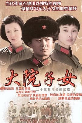 大院子女 - 国产剧 (2009) 海报