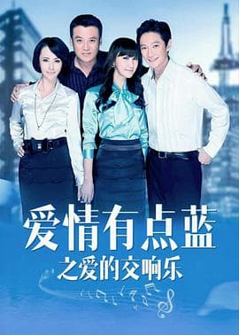 爱情有点蓝之爱的交响乐 - 国产剧 (2011) 海报