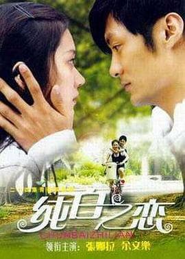 纯白之恋 - 国产剧 (2007) 海报