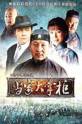 当家大掌柜 - 国产剧 (2011) 海报