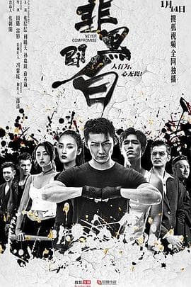 非黑即白 - 国产剧 (2020) 海报