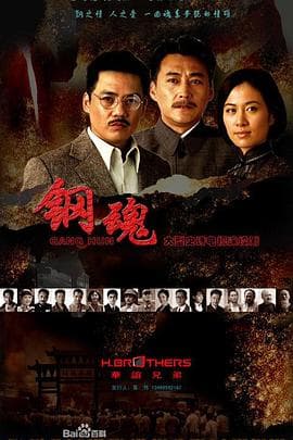 钢魂 - 国产剧 (2010) 海报