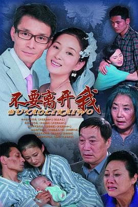 不要离开我 - 国产剧 (2011) 海报