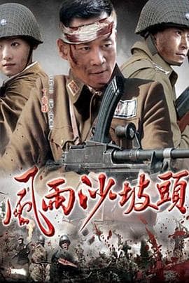 风雨沙坡头 - 国产剧 (2010) 海报