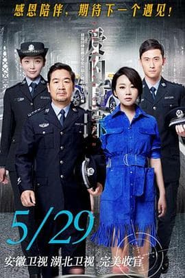 爱的追踪 - 国产剧 (2016) 海报