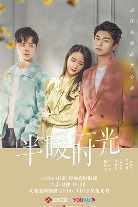 半暖时光 - 国产剧 (2021) 海报
