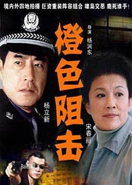 橙色阻击 - 国产剧 (2005) 海报