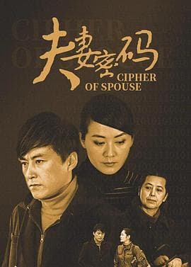夫妻密码 - 国产剧 (2010) 海报