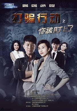 打骗行动之你被盯上了 - 国产剧 (2016) 海报