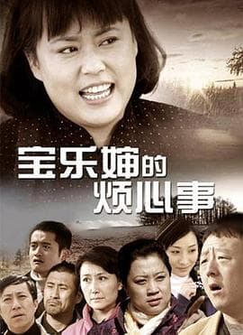 宝乐婶的烦心事 - 国产剧 (2012) 海报