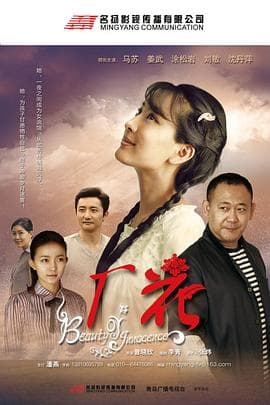 厂花 - 国产剧 (2011) 海报