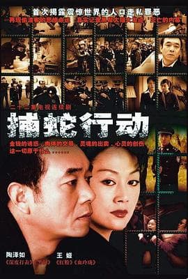 捕蛇行动 - 国产剧 (2005) 海报