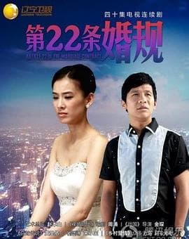 第22条婚规 - 国产剧 (2013) 海报