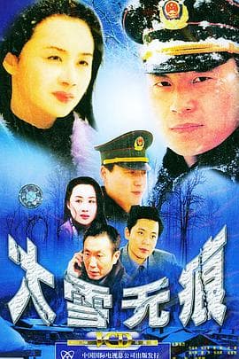 大雪无痕 - 国产剧 (2001) 海报