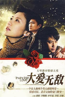 大爱无敌 - 国产剧 (2009) 海报