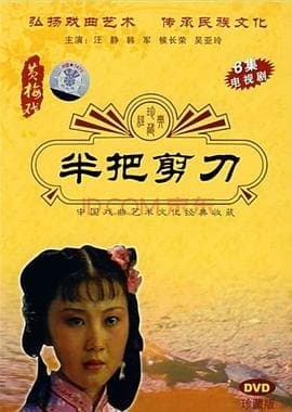 半把剪刀 - 国产剧 (1993) 海报