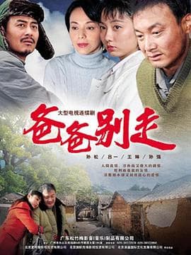 爸爸别走 - 国产剧 (2010) 海报