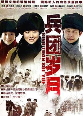 兵团岁月 - 国产剧 (2010) 海报