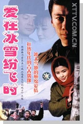 爱在冰雪纷飞时 - 国产剧 (2000) 海报