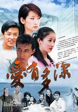 爱有多深 - 国产剧 (2006) 海报