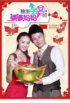 独生子女的婆婆妈妈 - 国产剧 (2013) 海报