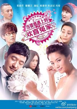 当婆婆遇上妈之欢喜冤家 - 国产剧 (2014) 海报