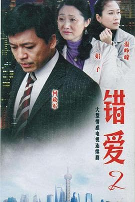 错爱2 - 国产剧 (2008) 海报