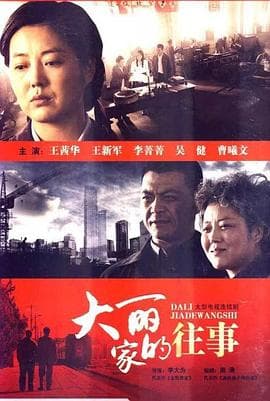 大丽家的往事 - 国产剧 (2011) 海报