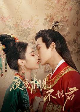 夜夜相见不识君 - 国产剧 (2023) 海报