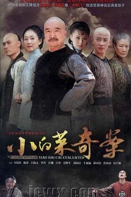 小白菜奇案 - 国产剧 (2012) 海报