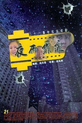 夜雨霏霏 - 国产剧 (2004) 海报