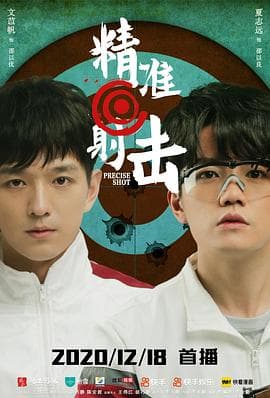 精准射击 - 国产剧 (2020) 海报