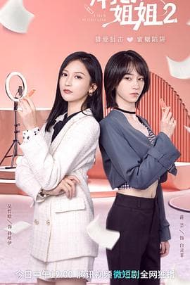 拜托了！姐姐2 - 国产剧 (2023) 海报