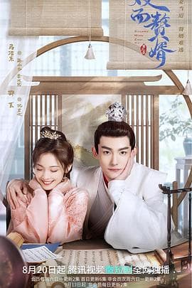 双面赘婿第二季 - 国产剧 (2022) 海报