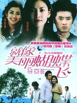 就像美丽蝴蝶飞 - 国产剧 (2003) 海报
