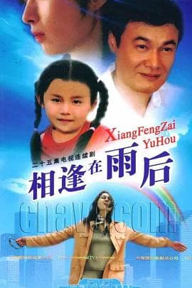 相逢在雨后 - 国产剧 (2007) 海报