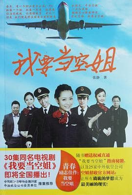 我要当空姐 - 国产剧 (2013) 海报