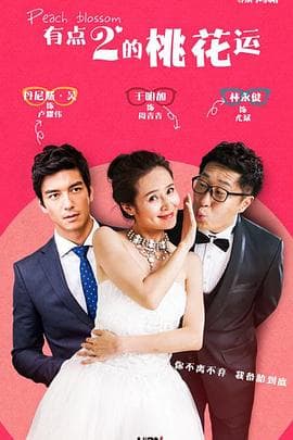 桃花运 - 国产剧 (2015) 海报