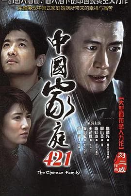 中国家庭421 - 国产剧 (2005) 海报