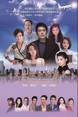 爱是欢乐的源泉 - 国产剧 (2017) 海报