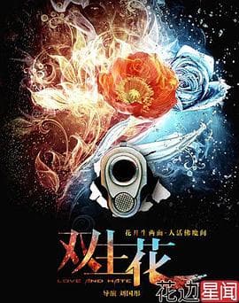 双生花2014 - 国产剧 (2014) 海报