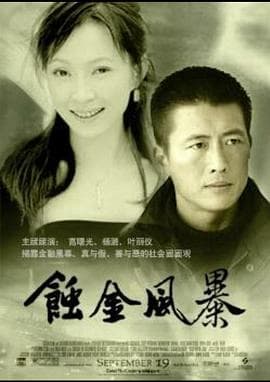 蚀金风暴 - 国产剧 (0) 海报
