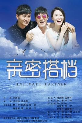 亲密的搭档 - 国产剧 (2016) 海报