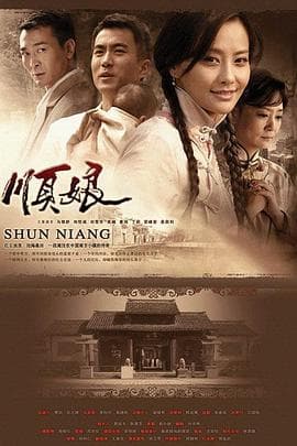 顺娘 - 国产剧 (2008) 海报