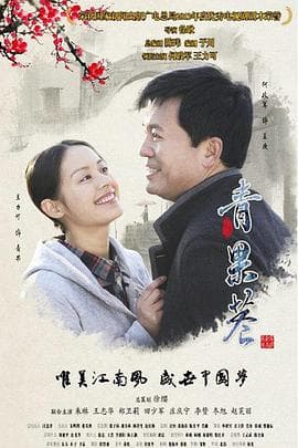 青果巷 - 国产剧 (2014) 海报
