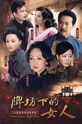 牌坊下的女人2009 - 国产剧 (2009) 海报