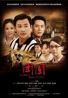 团圆-2010 - 国产剧 (2010) 海报